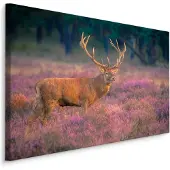 Karo-art Schilderij - Hert op de Heide, Premium Print, 5 maten