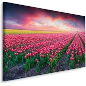 Karo-art Schilderij - Bloeiend tulpen veld, premium print