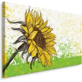 Karo-art Schilderij - Getekende Zonnebloem, Print op Premium Canvas