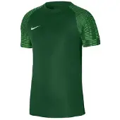 Nike Heren Academy Dri-FIT Jersey (Groen)