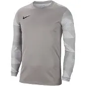 Nike Park IV Dri-FIT keeperstrui met lange mouwen voor kinderen/Kinderen (Grijs/zilver)
