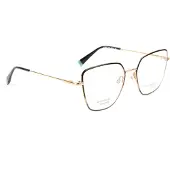 Ana Hickmann Optical Frame HI1263T 05A 53 Titanium
