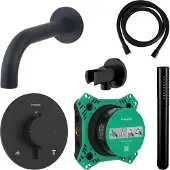 Hansgrohe Badkraanset Ecostat Rond met Handdouche Zwart