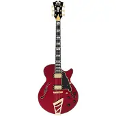 D'angelico Excel Ss Trans Cherry