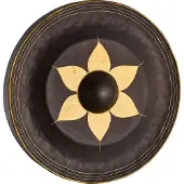 Sonic Energy 22" Thai Gong