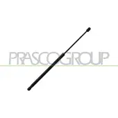 PRASCO AD3249055 Gasveer achterklep