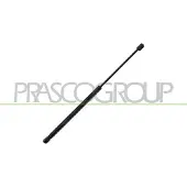 PRASCO DS7129055 Gasveer achterklep