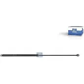 DT Spare Parts 3.80707 Gasveer, motorruimte klep