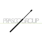 PRASCO RN4249055 Gasveer achterklep