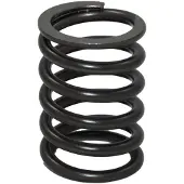 Bukh Dv24/29/36/48 Valve Spring Zilver