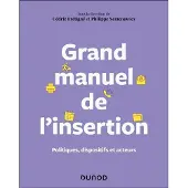 Dunod Grand manuel de l'insertion