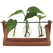 Winkee Houten Stekjesvaas - 3 Glaasjes