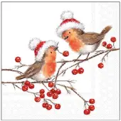Ambiente Servetten 25cm Christmas robins