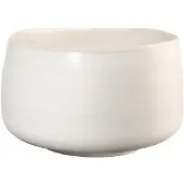 Asa selection Kom Moribana Hasu White 12 cm