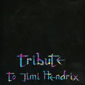 Mascot Licentie Tribute to Jimi Hendrix