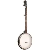 Gold tone AC-12 5-snarige open back banjo met gigbag