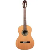 Ortega Traditional 4/4 + Pro Gig Bag