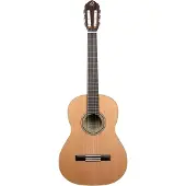 Ortega Traditional 4/4 Satin + Pro Gig Bag