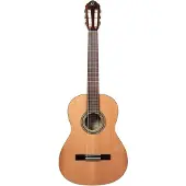 Ortega Traditional 4/4 + Pro Gig Bag