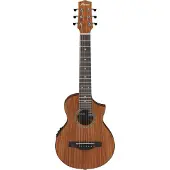 Ibanez Ewp12Ewb-Opn Natural