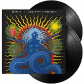 Martone Music DeWolff - Love, death & in between (LP)