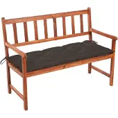 vidaXL Tuinbank met kussen 120 cm massief acaciahout