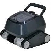 Interline Walking Catfish zwembadrobot