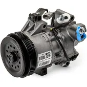 RIDEX 447K0479R Aircopomp