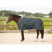 Harry's Horse Deken Thor 100gr Grijs - 155/205