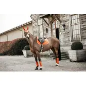 Kentucky Horsewear Horsewear - Zadeldoek velvet jumping oranje pony