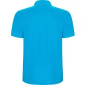 Roly Heren Pegaso Premium Effen Polo Shirt (Turquoise)