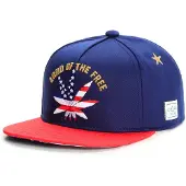 Cayler & Sons - Land of the Free snapback cap - Blauw