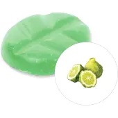 Scentchips Italiaanse Bergamot - Geurblokjes - Huisparfum - Geurchips - Waxmelts - Geschikt voor Geurbrander en Waxbrander - XL - 38 Stuks