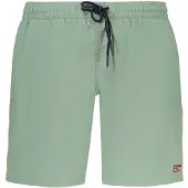 NORWAY 1963 Noorwegen 1963 Verde Poliammide Heren Zwem Boxer