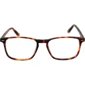 Taylor Morris Brilrand SW16 C2 52