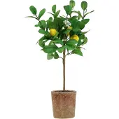 Viana Kunstcitroenboom, pot 58 cm, decoratieve boom, mediterrane stijl