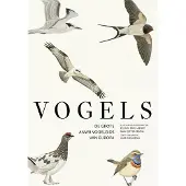 Vivara Vogels - De grote ANWB vogelgids van Europa |