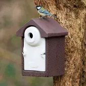 Cj Wildlife Nestkast Sevilla WoodStone 32 mm Bruin | Houtbetonnen vogelhuisje | Vivara | 10 jaar garantie | Aanbevolen door Vogelbescherming Nederland