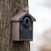 Cj Wildlife Nestkast Bilbao - Woodstone ovale invliegopening | |