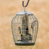 Cj Wildlife Beschermsilo voor kleine vogels Aura | | Voedersystemen | Partner van Vogelbescherming Nederland