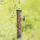 Cj Wildlife Pindasilo Challenger Kunststof 38 cm groen |