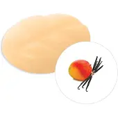 Scentchips Vanille & Mango - Geurblokjes - Huisparfum - Geurchips - Waxmelts - Geschikt voor Geurbrander en Waxbrander - XXL - 144 Stuks