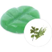 Scentchips Patchouli & Tijm - Geurblokjes - Huisparfum - Geurchips - Waxmelts - Geschikt voor Geurbrander en Waxbrander - L - 26 Stuks