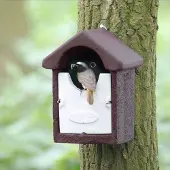 Cj Wildlife Nestkast Barcelona WoodStone halfholenbroeder Bruin | |