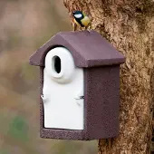 Cj Wildlife Nestkast Sevilla WoodStone ovale invliegopening Bruin | |