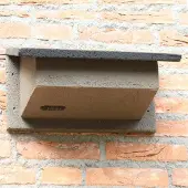 Cj Wildlife Nestkast Gierzwaluw duurzaam houtbeton | Vivara | 10 jaar garantie | Aanbevolen door Vogelbescherming Nederland