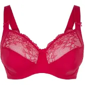Lingadore BH rood