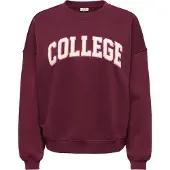 JDY Sweatshirt 'JDYMesa' crème / pink / wijnrood