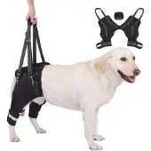 INF Honden Achterpoot Ondersteuningsharnas - Mobiliteitshulp voor Oudere & Gewonde Huisdieren L