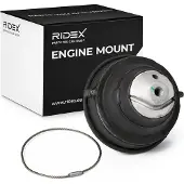 RIDEX 247E1482 Motorsteunlager
